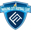 Nanjing City logo
