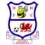 Holyhead Hotspur logo