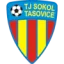 TJ Sokol Tasovice logo