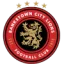 Bankstown City Lions logo
