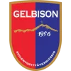 Gelbison logo