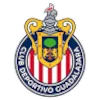 Guadalajara logo