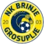 NK Brinje Grosuplje logo