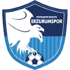 BB Erzurumspor U19 logo