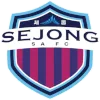 Sejong SA logo