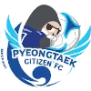 Pyeongtaek Citizens logo
