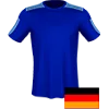 SV Hemelingen logo