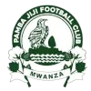 Pamba Jiji logo