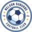 Nelson Suburbs logo