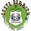 Gazte Berriak logo