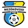 Mezokovesd-Zsory SE logo