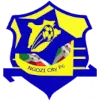 Ngozi City logo