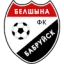 Belshina Bobruisk logo