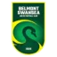 Belmont Swansea logo