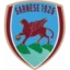 Sarnese logo