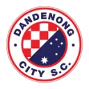 Dandenong City logo