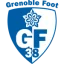 Grenoble logo