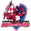Glenorchy Knights logo
