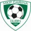 Carina Gubin logo