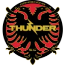 Dandenong Thunder logo