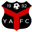Ynyshir Albions logo