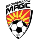 Broadmeadow Magic logo