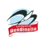 Rondinella logo