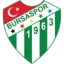 Bursaspor logo