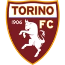 Torino logo