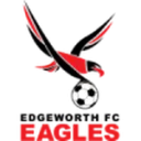 Edgeworth Eagles logo