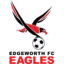 Edgeworth Eagles logo