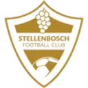 Stellenbosch logo
