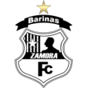 Zamora logo