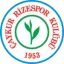 Rizespor logo