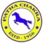 Patha Chakra logo