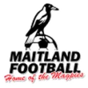 Maitland logo