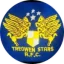 Treowen Stars logo