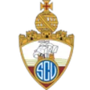Vianense logo