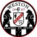Weston Workers Bears logo