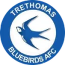 Trethomas Bluebirds logo