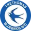 Trethomas Bluebirds logo