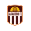 Carabobo FC logo