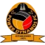 Power Dynamos logo