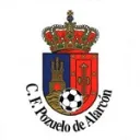 Pozuelo de Alarcon logo
