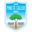 Pineto logo