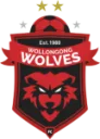 Wollongong Wolves U20 logo