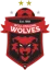 Wollongong Wolves U20 logo