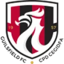 Guilsfield logo