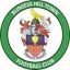 Burgess Hill Town logo