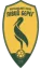 Livyi Bereh U19 logo
